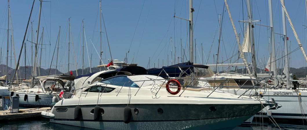 MEDITERRANEE 43